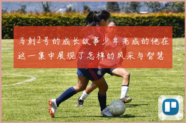 马刺2号的成长故事少年老成的他在这一集中展现了怎样的风采与智慧