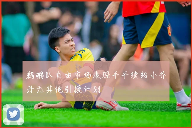 鹈鹕队自由市场表现平平续约小乔丹无其他引援计划
