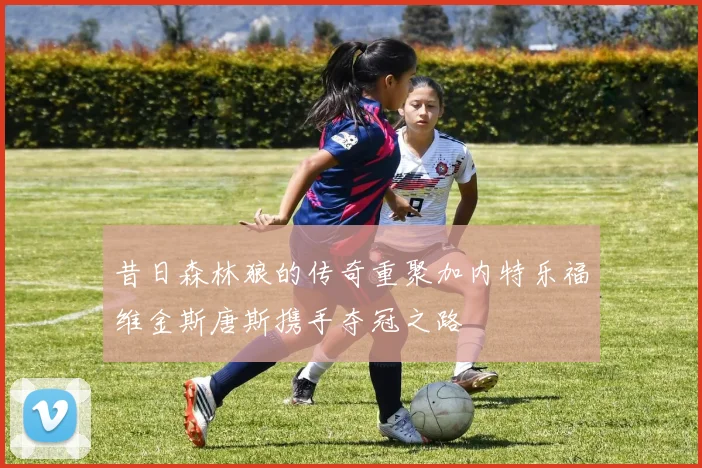 昔日森林狼的传奇重聚加内特乐福维金斯唐斯携手夺冠之路